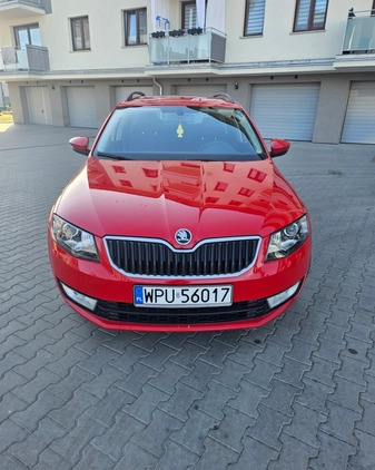 Skoda Octavia cena 42500 przebieg: 177000, rok produkcji 2015 z Pułtusk małe 22